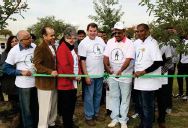 Plant a Tree, November 2015