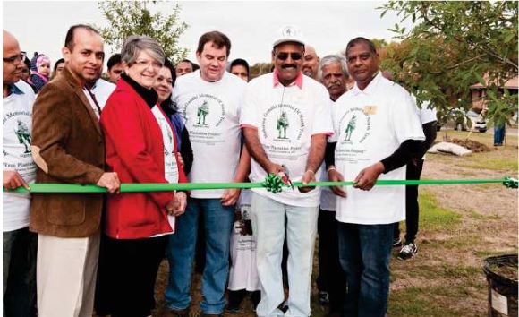 Plant a Tree, November 2015