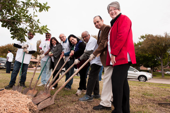 Plant a tree